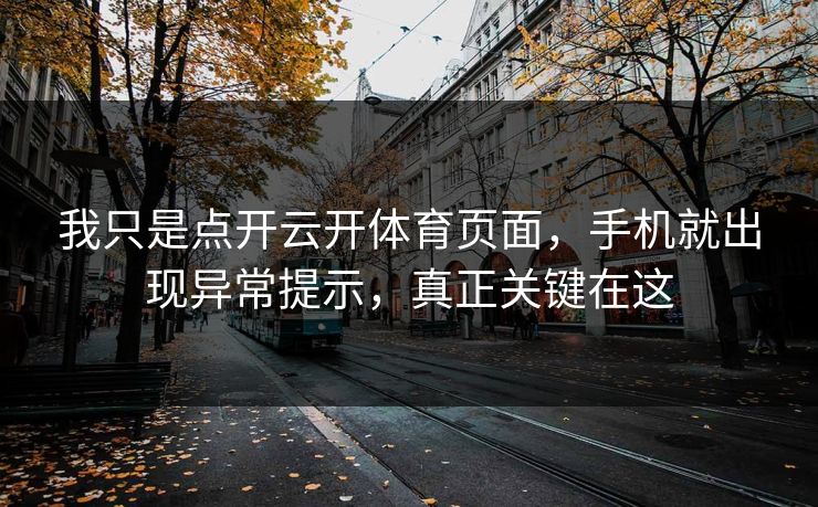 我只是点开云开体育页面，手机就出现异常提示，真正关键在这